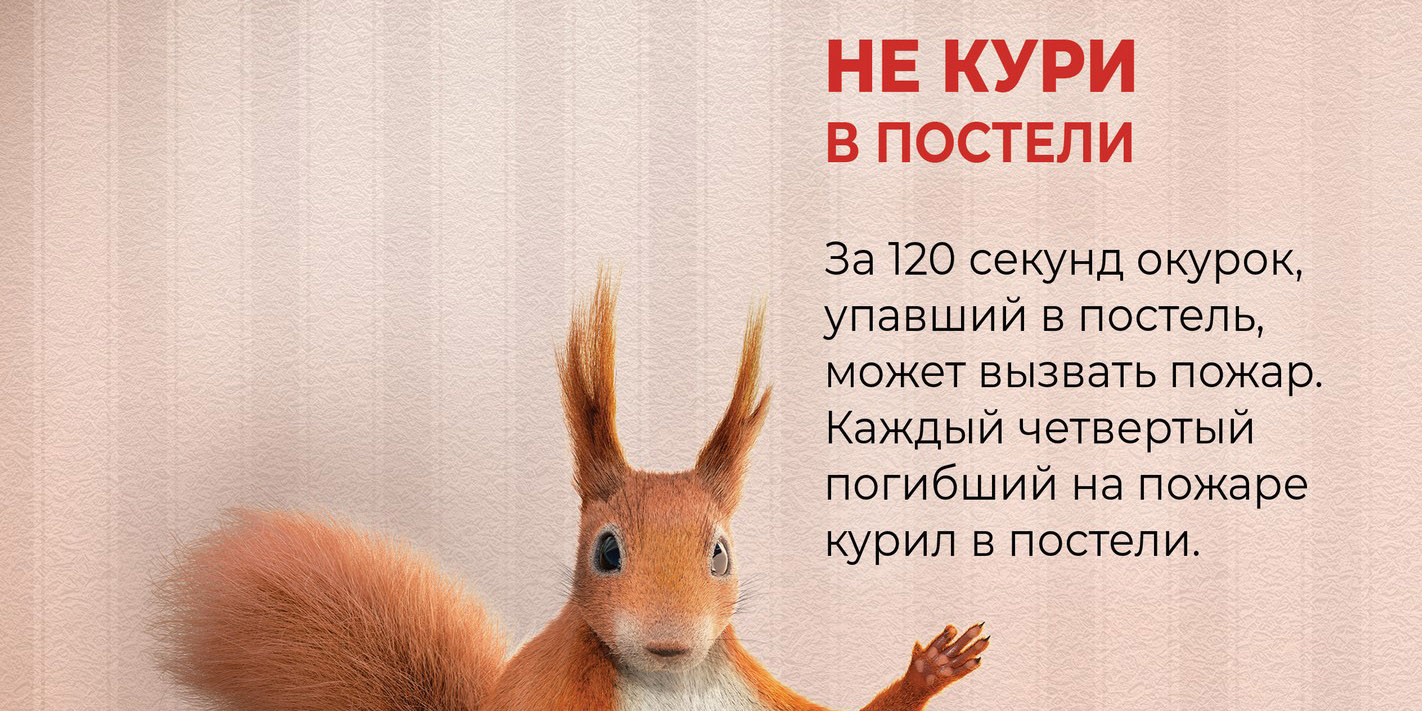 Не жди белочку – туши окурок!