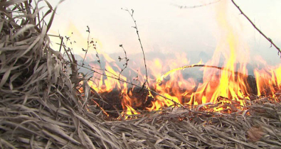 Запрет на сельскохозяйственные палы и выжигание сухой растительности